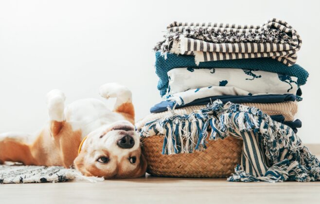 shutterstock_1157000422_cropped